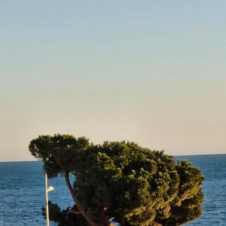 Juan-les-pins Centre Apartman